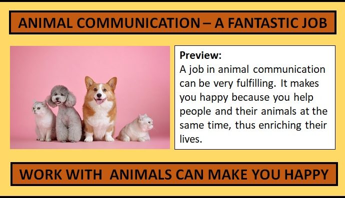 Animal Communication - this job will make you happy